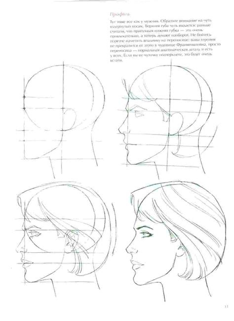 Поэтапное рисование головы в профиль Смотреть 41 фото бесплатно