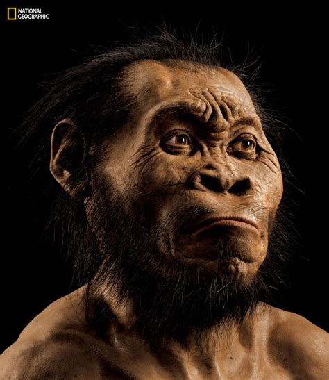Find out why this ancient human is such an enigma. JCU team says hominid lived alongside modern humans - JCU ...
