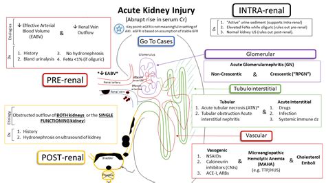 Acute Kidney Injury Teachim
