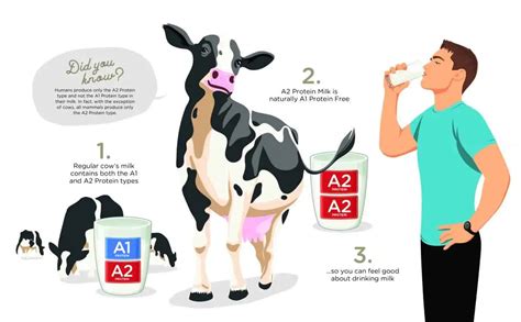 A2 Protein Dairy Mik By Australias Own