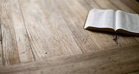Why Busy Parents Need Bible Study Unlocking The Bible