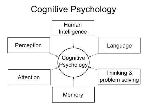 Psychology 102 Cognitive Processes