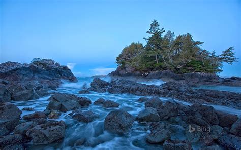 Tofino Canada Bing Wallpaper 42982782 Fanpop