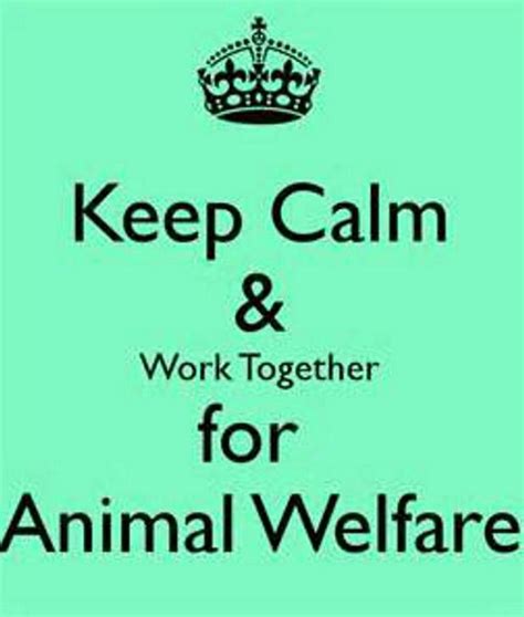Pin By Linda Cuban On Animal Rights Awareness Calm Animal Welfare
