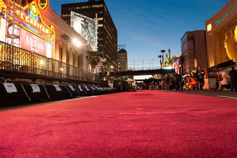 Oscar Red Carpet