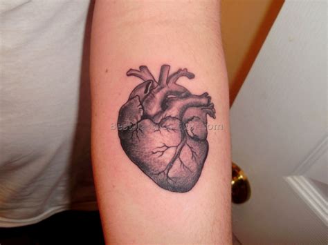 ᐉ Татуировка сердце сочетание романтики и глубокого смысла Gsm