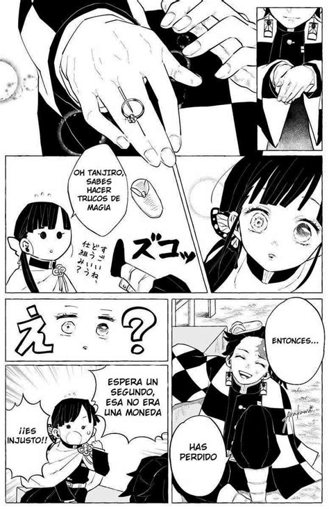 23 Tanjiro And Kanao Manga Narellebindia
