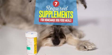 7 Essential Homemade Dog Food Supplements Top Dog Tips