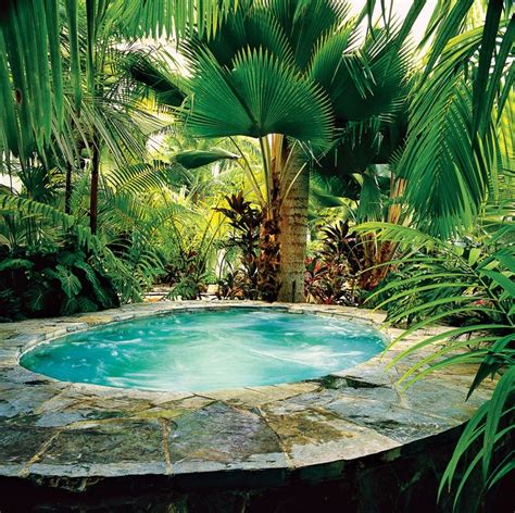 Azircounter Palm Tree Flower Bed Ideas 15 Gorgeous Rock Garden Ideas