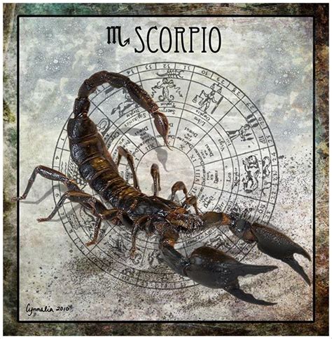 Pin By Emily Rose On Depictionsrecognitoin Scorpio Sun Sign