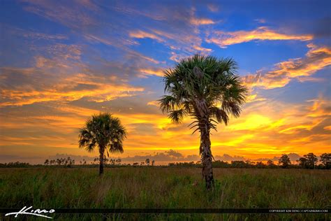 Florida Landscape Hdr Photo Pine Glades Natural Area Hdr Photography