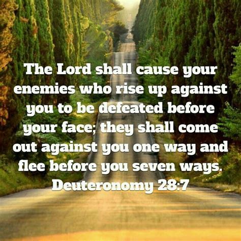 Pin By Your Walk With God On Ladyb Amplified Bible Deuteronomy