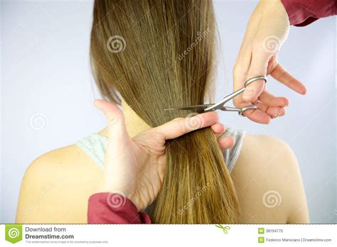 Long Hair Being Cut With Scissors Stock Image Image Of Person Care