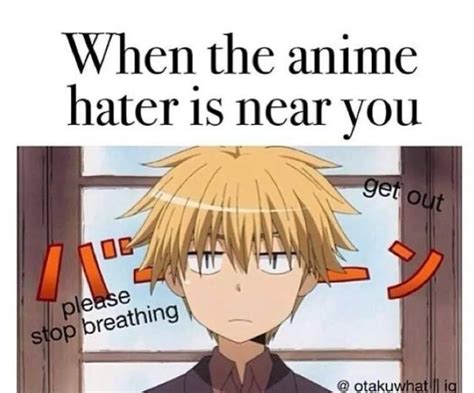 Haters Anime Amino