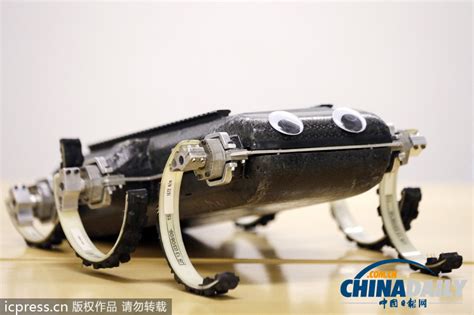 美国研发六足机器人 能跳跃爬墙空翻（图）[1] 中文国际