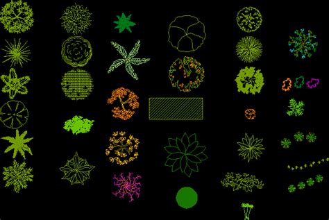 This set of cad blocks includes a selection of plants and shrubs, ferns, grasses and other smaller shrubbery. Trees Shrubs And Plants 2d Dwg Detail For Autocad | Dog ...