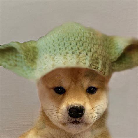 Yoda Dogwifhatgang