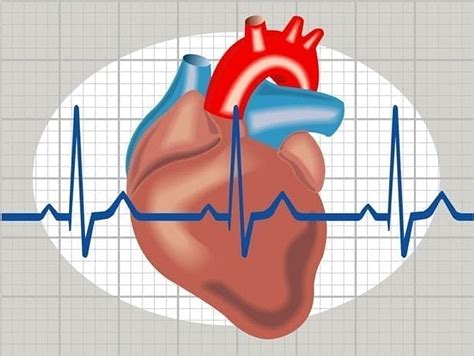 Zaburzenia Rytmu Serca Przyczyny Objawy Leczenie Choroby Od A Do Z