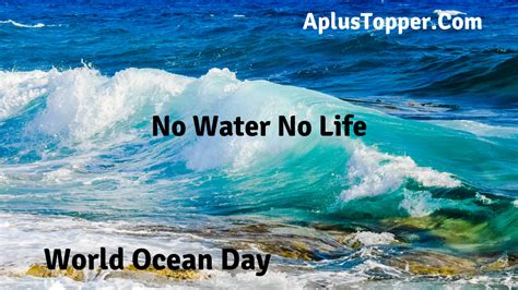 World Ocean Day Quotes Best World Oceans Day Quotes Wishes