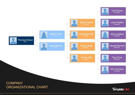 Organizational Chart Templates Word Excel Powerpoint Psd The