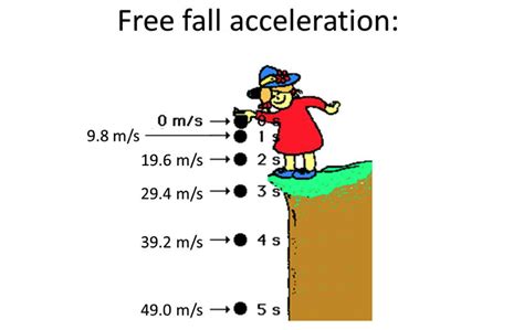 Introduction To Free Fall The Edge Learning Center