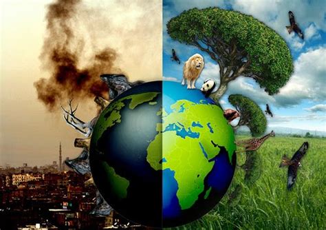 ¿qué Es EcologÍa Definición Y Sus Ramas Ecología Hoy