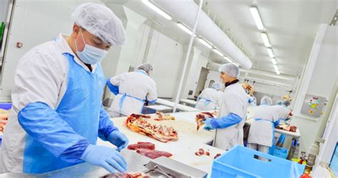 Meat And Poultry Processing Gvicaa An Impulse For Life