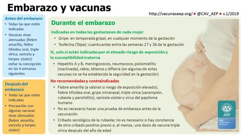 Vacunas Antes Durante Y Después Del Embarazo Comité Asesor De Vacunas De La Aep