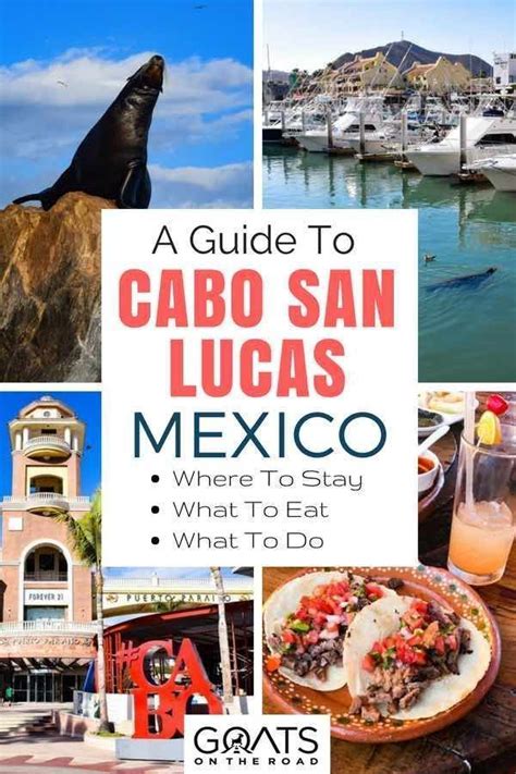 21 Things To Do In Cabo San Lucas Mexico Cabo San Lucas