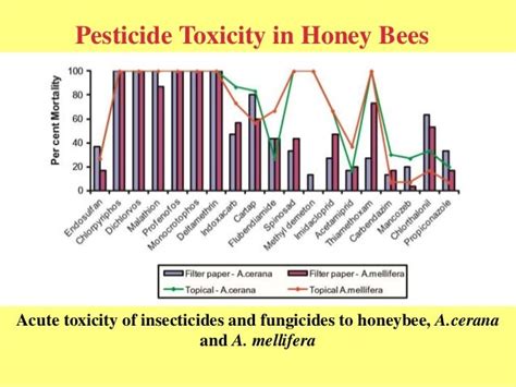 Pesticides A Threat To Honey Bees