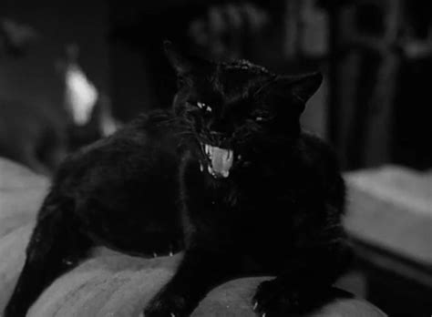 The Munsters Munster Masquerade Cinema Cats