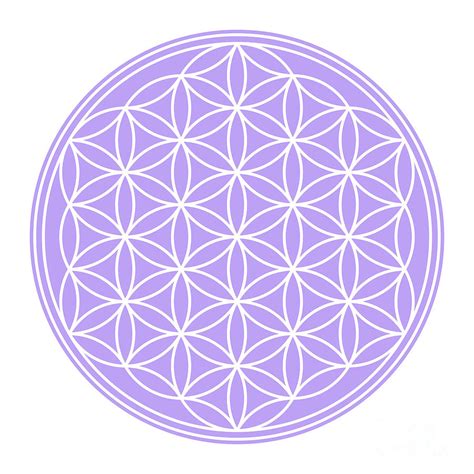 White Flower Of Life Sacred Geometry On A Pastel Purple Circular Field