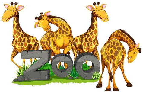 Four Giraffes In The Zoo 298241 Vector Art At Vecteezy