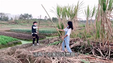 Sharing A Day Of Chinese Rural Girls Youtube