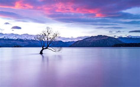 1920x1200 New Zealand Lake View 1200p Wallpaper Hd Nature