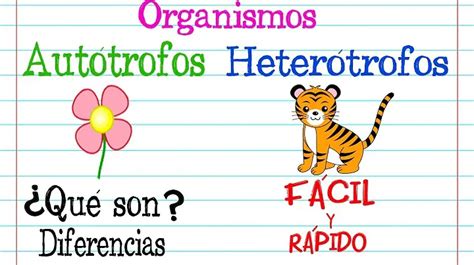 Ejemplos De Organismos Heterótrofos En México Mx
