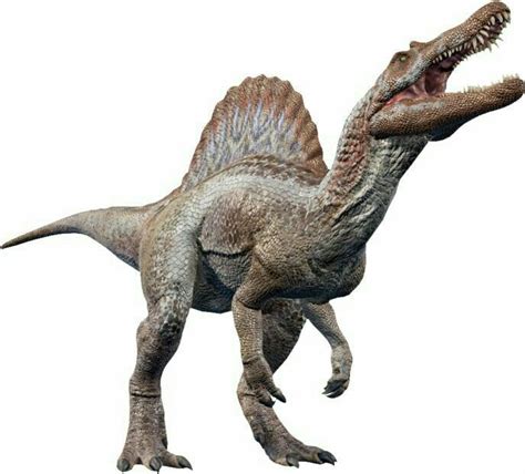 A Large Dinosaur With Its Mouth Open And Its Teeth Wide Open Standing In Front Of A White