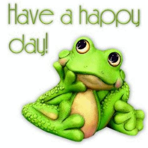 Don't forget to confirm subscription in your email. Frog - happy day | Frog quotes, Funny frogs, Frog pictures