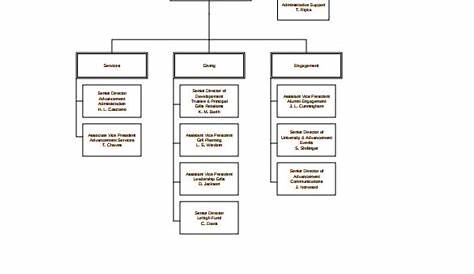 Best Nonprofit Organizational Chart Examples - 6+ Templates [Download