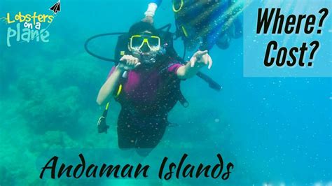 Scuba Diving At Havelock Island Andaman Tripoto