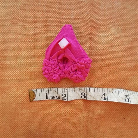 Cloth Vagina Brooch Vagina Pin Textile Jewellery Vulva Etsy 日本