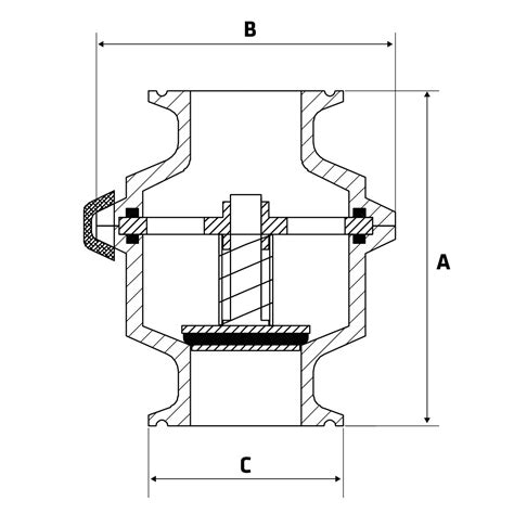 Sanitary Non Return Valve The Metal Company