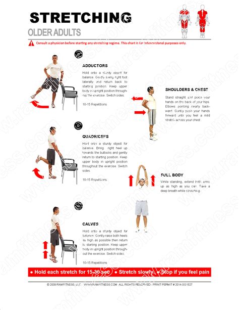 stretching exercises for seniors pdf