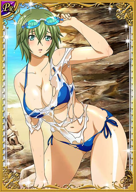 Kyocho Chuukou Ikkitousen 00s 1girl Beach Bikini Breasts Card