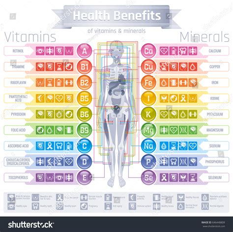 Mineral Vitamin Supplement Icons Health Benefit Stock Vector Royalty