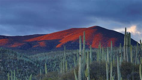 Mexico Landscape Wallpapers Top Free Mexico Landscape Backgrounds