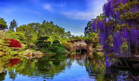 Bridge In Spring Park Greenery Bonito Spring Park Trees Lake