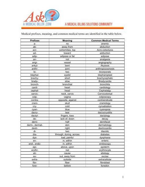 Most Common Medical Prefixes And Suffixes Slide Course