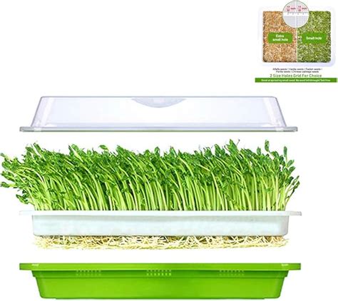 Bighave Seed Sprouter Tray With Lid Sprouting Kit Extra Small Hole