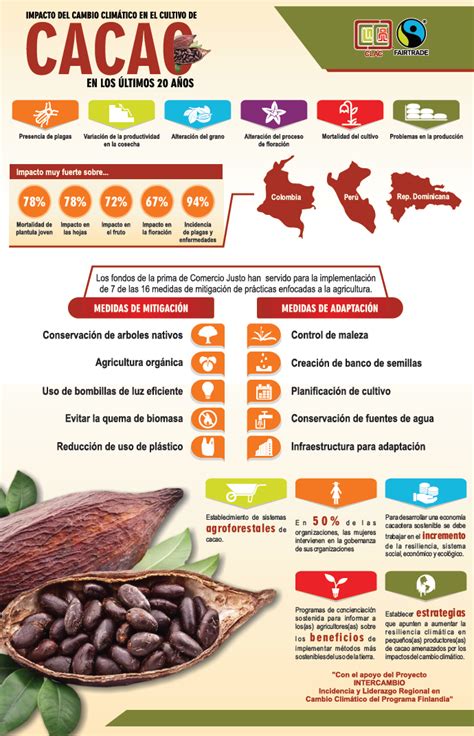 Infograf A Impacto Del Cambio Clim Tico En El Cultivo De Cacao En Los